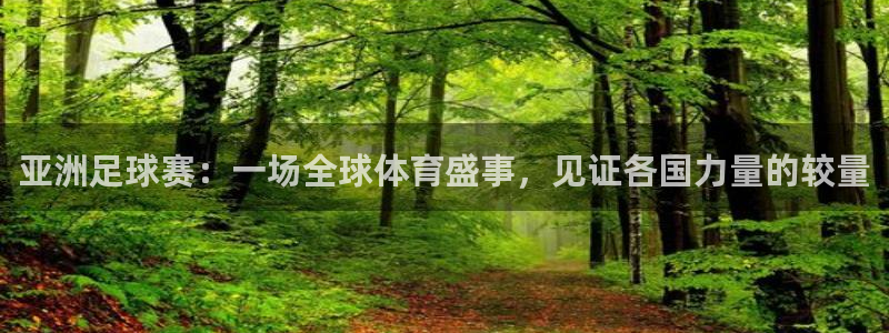 亚洲足球赛：一场全球体育盛事，见证各国力量的较量