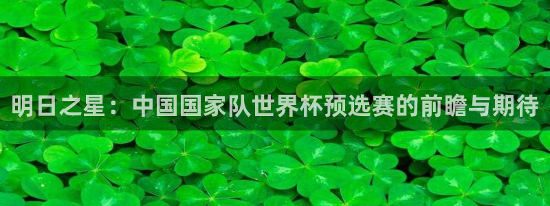 明日之星：中国国家队世界杯预选赛的前瞻与期待