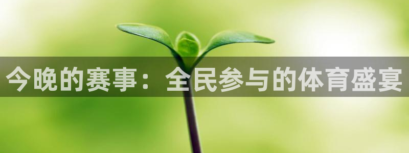 今晚的赛事：全民参与的体育盛宴