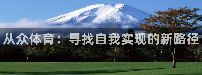 从众体育：寻找自我实现的新路径
