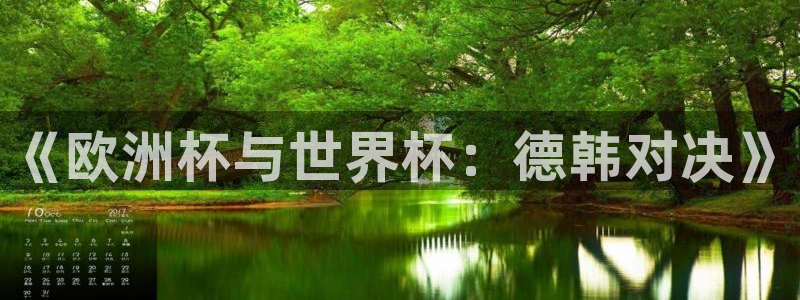 《欧洲杯与世界杯：德韩对决》