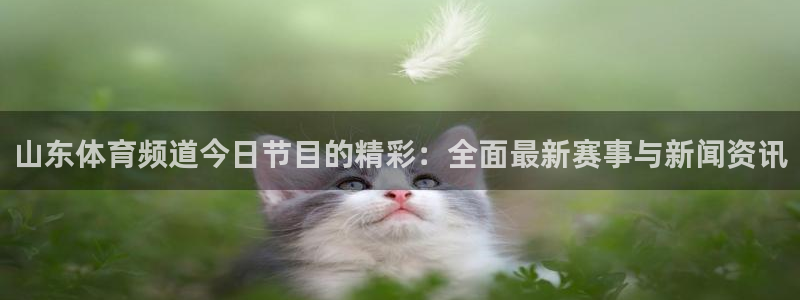 山东体育频道今日节目的精彩：全面最新赛事与新闻资讯