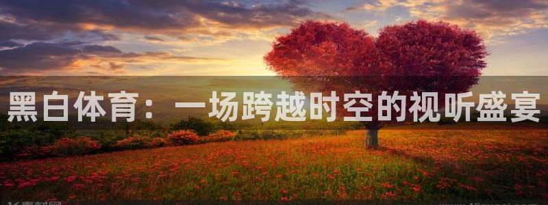 黑白体育：一场跨越时空的视听盛宴