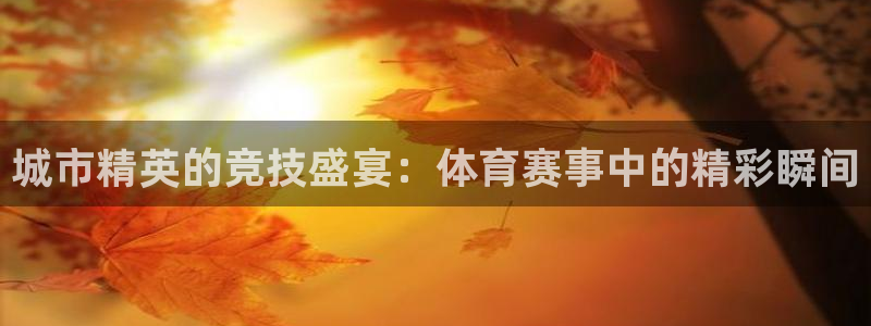 城市精英的竞技盛宴：体育赛事中的精彩瞬间