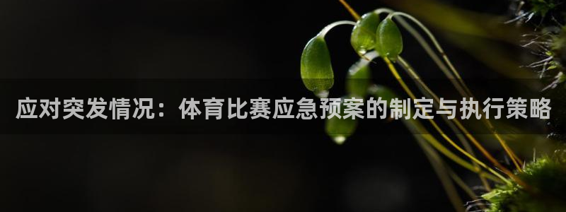 应对突发情况：体育比赛应急预案的制定与执行策略
