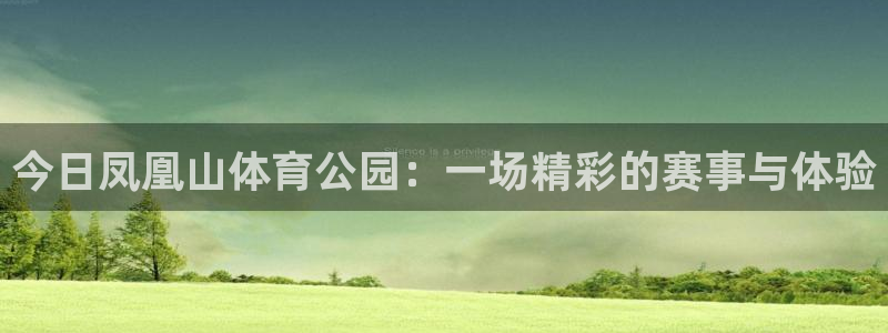 今日凤凰山体育公园：一场精彩的赛事与体验