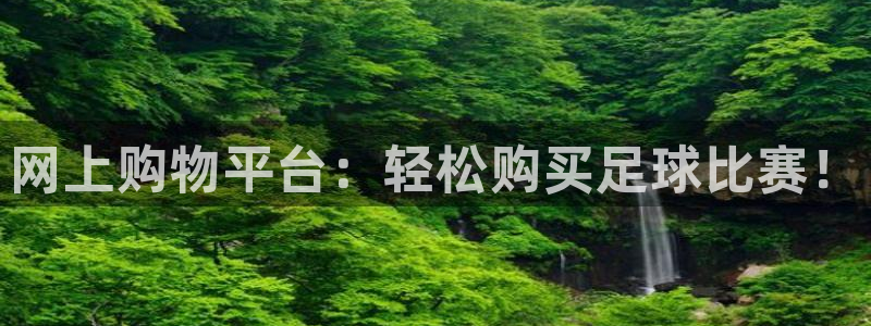 网上购物平台：轻松购买足球比赛！
