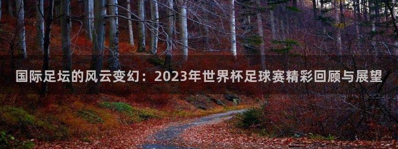 国际足坛的风云变幻：2023年世界杯足球赛精彩回顾与展望
