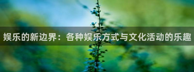 娱乐的新边界：各种娱乐方式与文化活动的乐趣