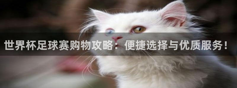 世界杯足球赛购物攻略：便捷选择与优质服务！