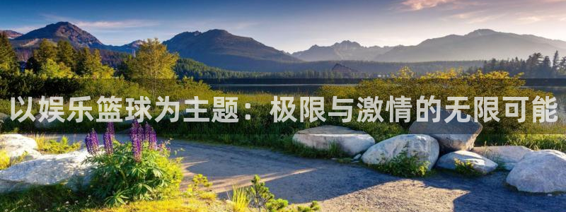以娱乐篮球为主题：极限与激情的无限可能