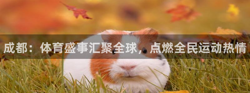 成都：体育盛事汇聚全球，点燃全民运动热情