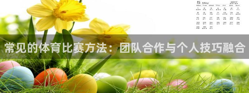 常见的体育比赛方法：团队合作与个人技巧融合