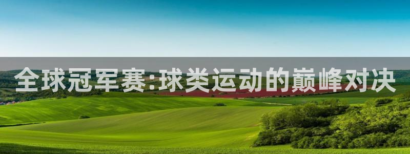 全球冠军赛:球类运动的巅峰对决