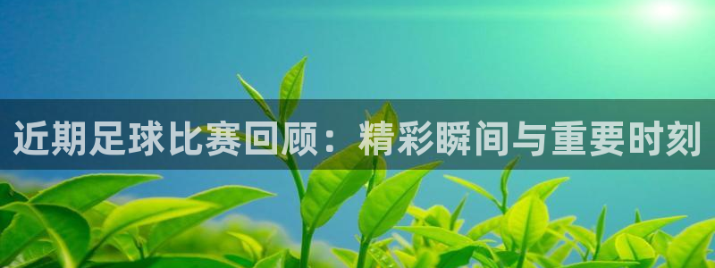 近期足球比赛回顾：精彩瞬间与重要时刻