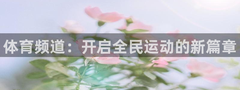 体育频道：开启全民运动的新篇章
