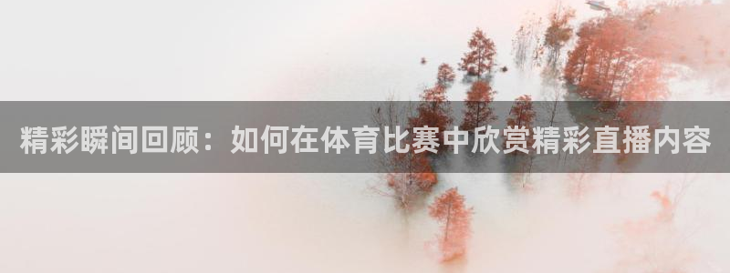 精彩瞬间回顾：如何在体育比赛中欣赏精彩直播内容