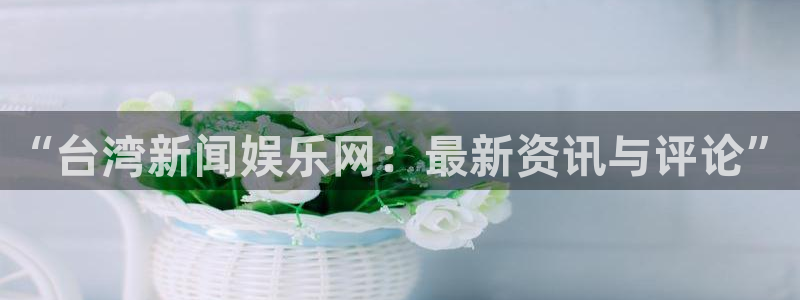 “台湾新闻娱乐网：最新资讯与评论”
