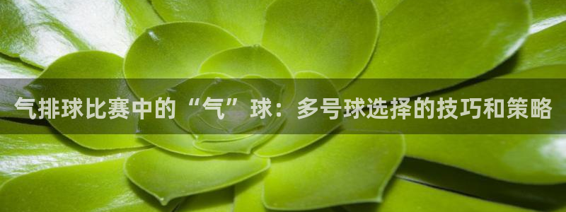 气排球比赛中的“气”球：多号球选择的技巧和策略