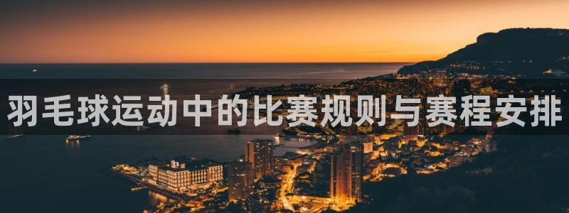 羽毛球运动中的比赛规则与赛程安排