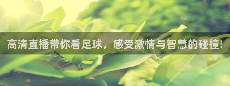 高清直播带你看足球，感受激情与智慧的碰撞!