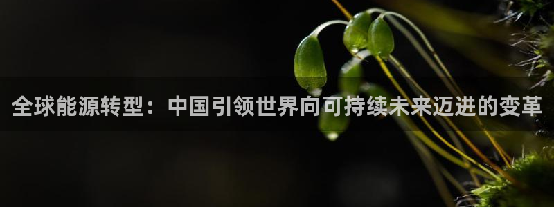 全球能源转型：中国引领世界向可持续未来迈进的变革