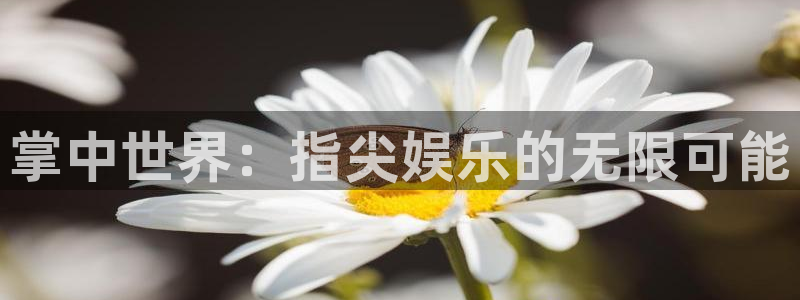 掌中世界：指尖娱乐的无限可能