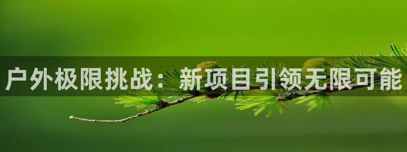 户外极限挑战：新项目引领无限可能