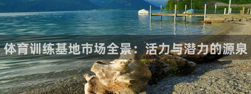 体育训练基地市场全景：活力与潜力的源泉